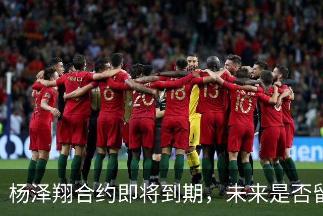 杨泽翔合约即将到期，未来是否留在申花引关注